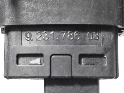 Кнопка аварийной сигнализации F10 61319231786